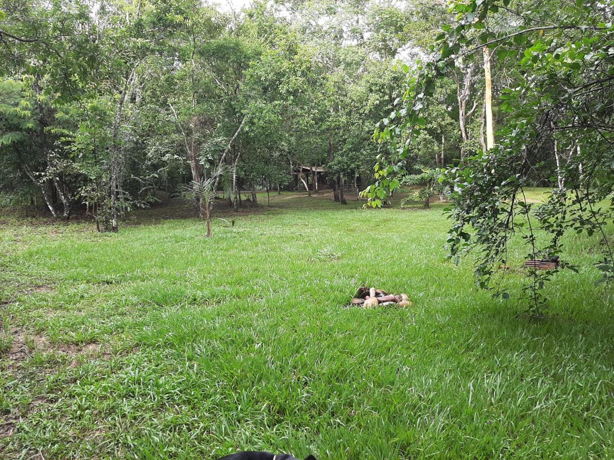 Camping Das Aguas Pirenópolis Eksteriør bilde