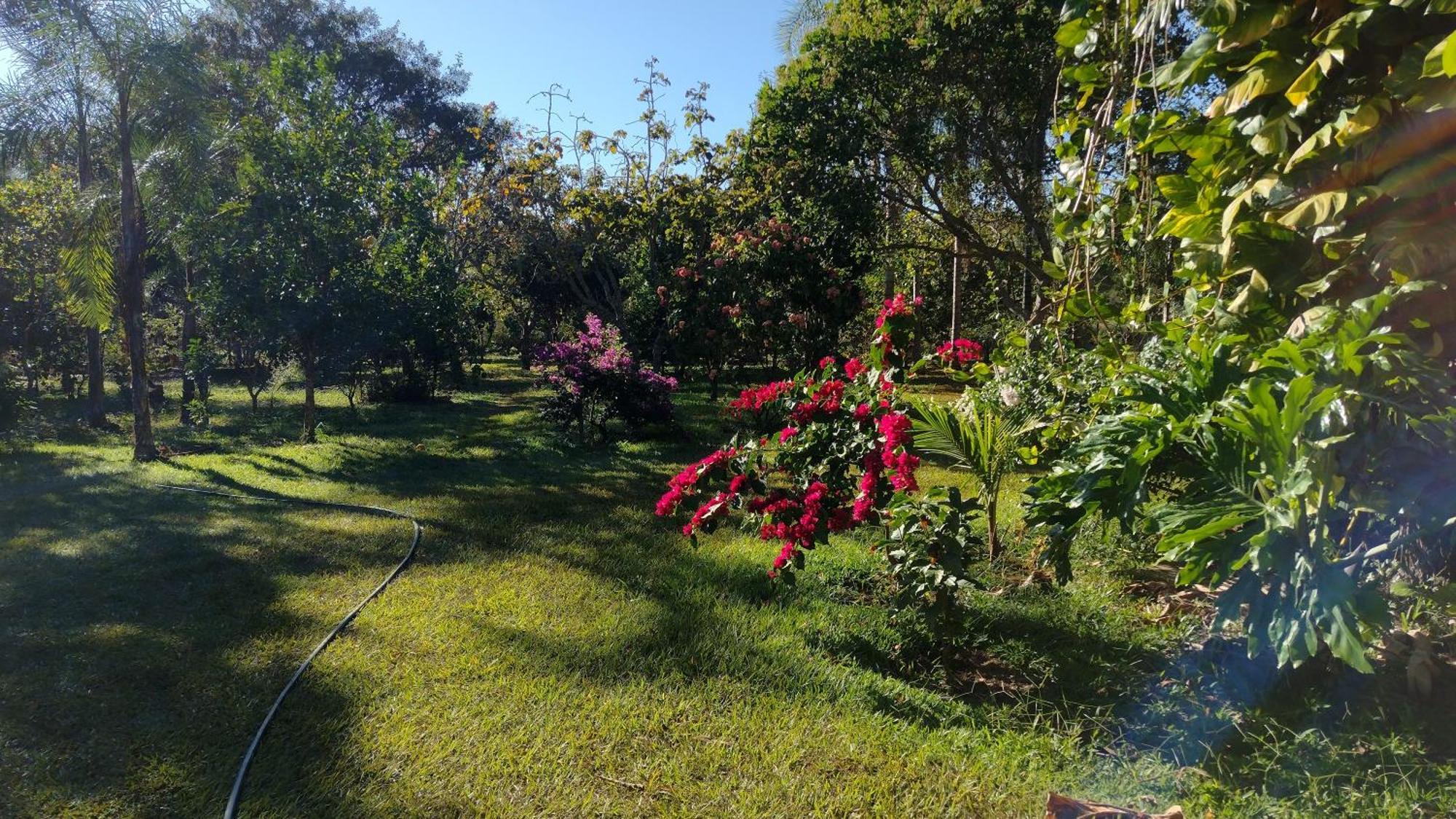 Camping Das Aguas Pirenópolis Eksteriør bilde