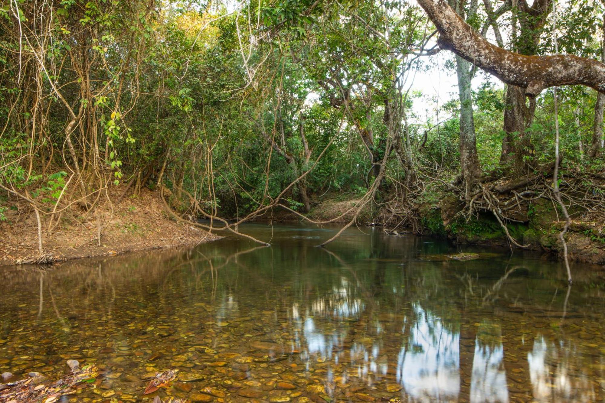 Camping Das Aguas Pirenópolis Eksteriør bilde